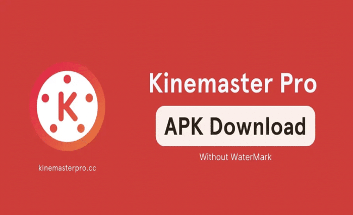 Without Watermark Kinemaster App