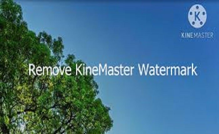 Watermark with Kinemaster App