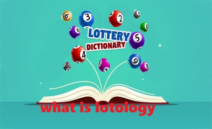 what is lotology