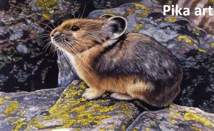 pika art